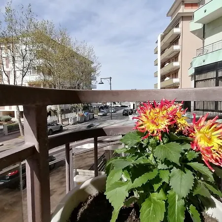 Abel & 酒店 切塞纳蒂科