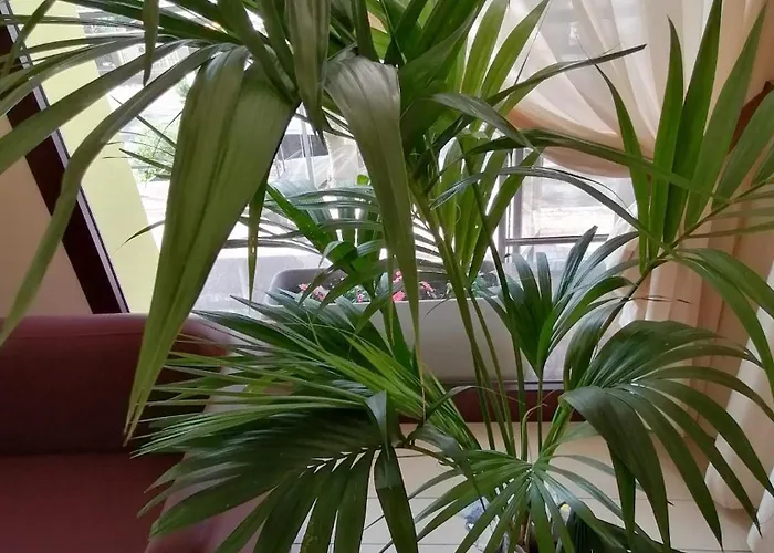 Abel & 3* Cesenatico