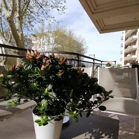 Abel Чезенатико