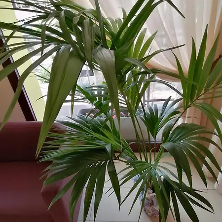 Abel & 3* Cesenatico