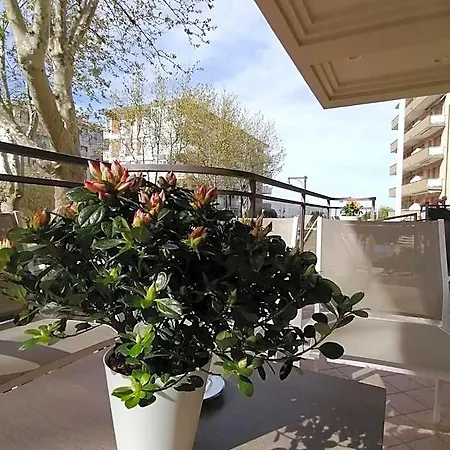 Abel&residence Hotel Cesenatico